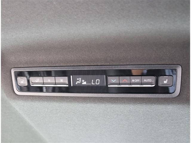 Image 16